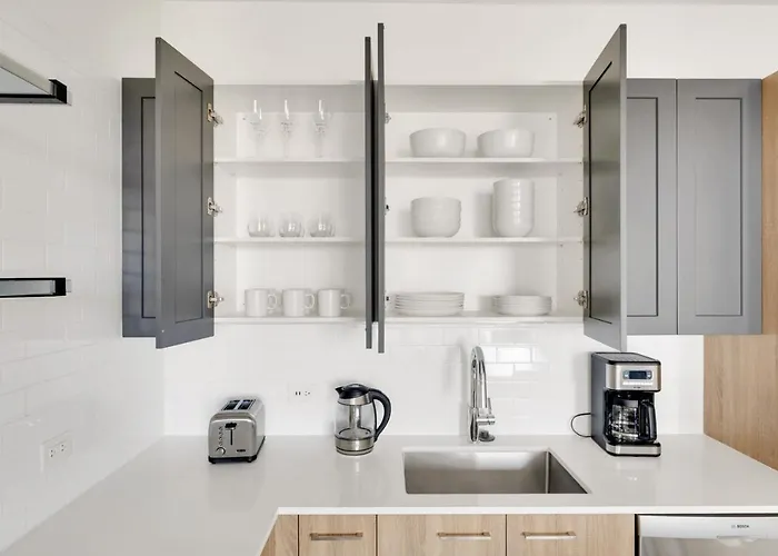 Apartment W Loop Studio W Gym Coworking Nr Uic Chi-751 Chicago